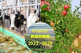 Проект AGGRI открывает новые перспективы для молдавского агросектора - agroexpert.md