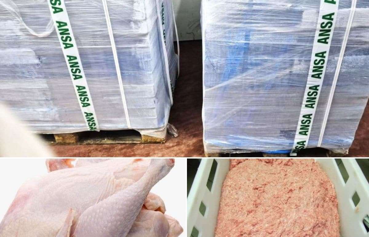 ANSA изъяло партию куриного мяса, заражённого сальмонеллой - agroexpert.md