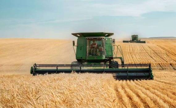 ABARES: Австралийское зерно растет, мировые цены под давлением - agroexpert.md