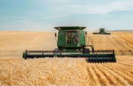 ABARES: Австралийское зерно растет, мировые цены под давлением - agroexpert.md