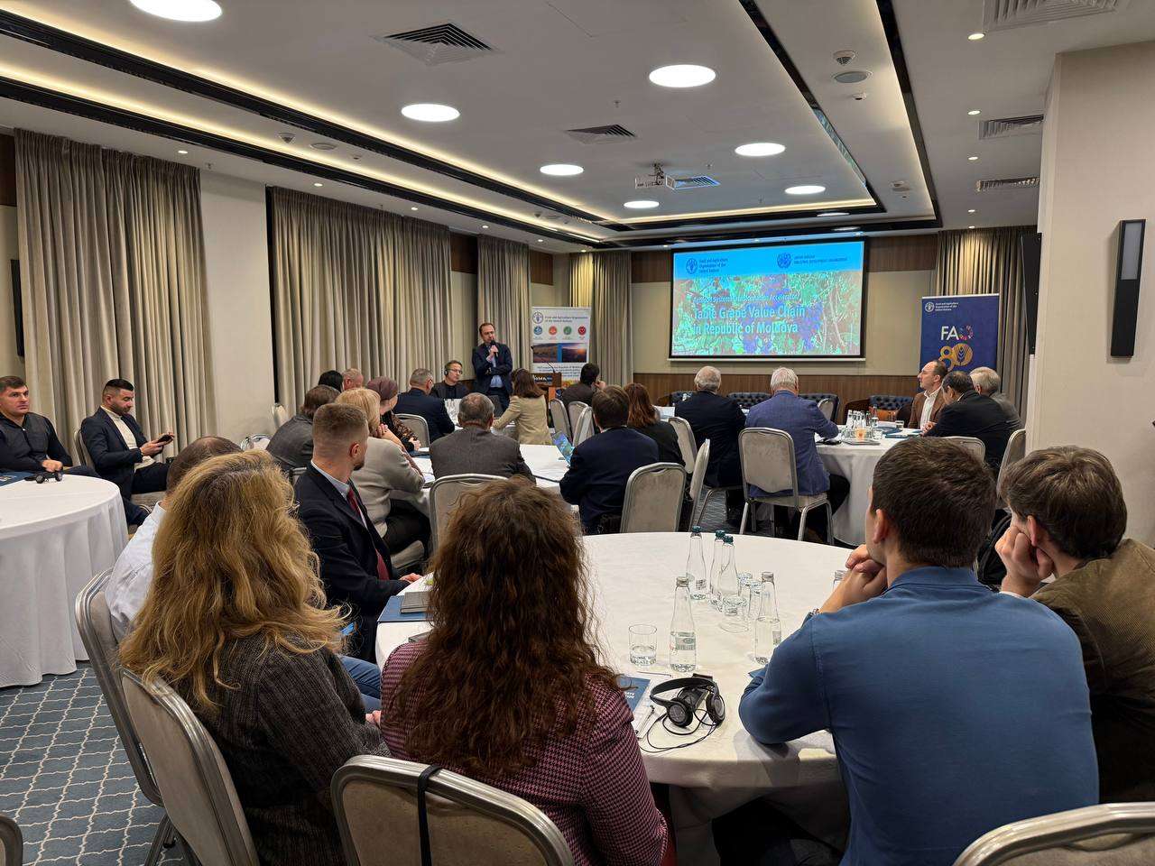 Strategie națională pentru strugurii de masă - agroexpert.md