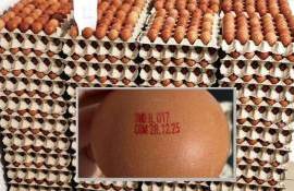 ANSA сообщает об отзыве партии куриных яиц «ADALVA» SRL - agroexpert.md