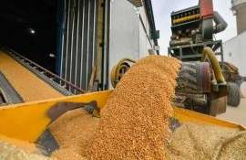 В этом сезоне экспорт зерновых из стран Евросоюза вырос на 14% - agroexpert.md