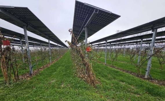 Агровольтаика для фермеров: руководство по установке на сельхозугодьях - agroexpert.md