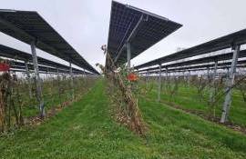 Агровольтаика для фермеров: руководство по установке на сельхозугодьях - agroexpert.md