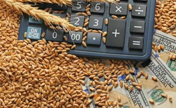 Цены на пшеницу на рынке Украины ведут себя необычно спокойно - agroexpert.md