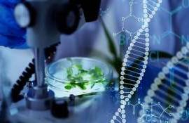 ЕС согласовал правила применения новых геномных технологий в агросекторе - agroexpert.md