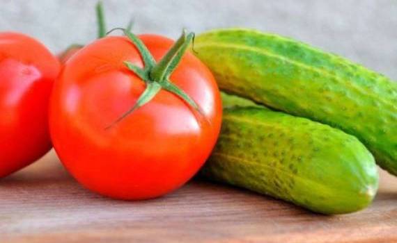 Молдова — крупнейший покупатель украинских томатов, экспорт растет - agroexpert.md