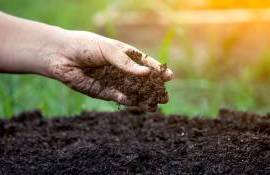 5 decembrie – Ziua Mondială a Solului - agroexpert.md