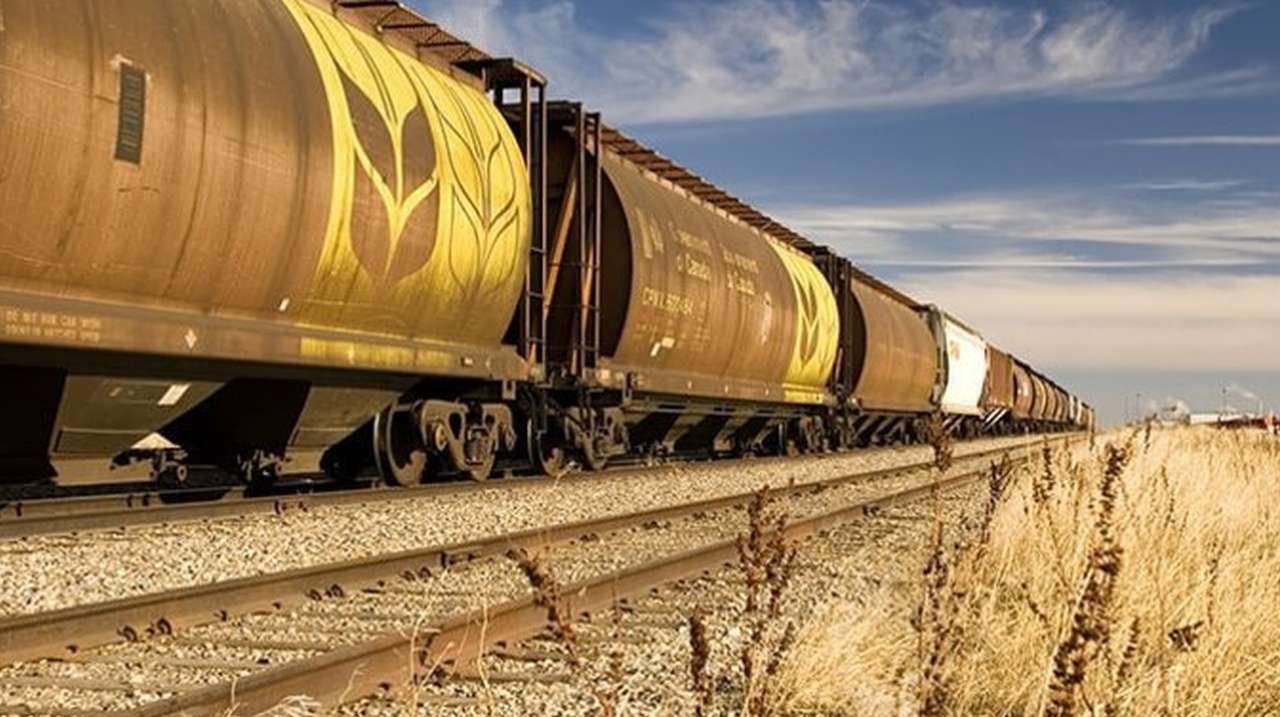 Exportatorii avertizează: Lipsa de dialog cu CFM - agroexpert.md