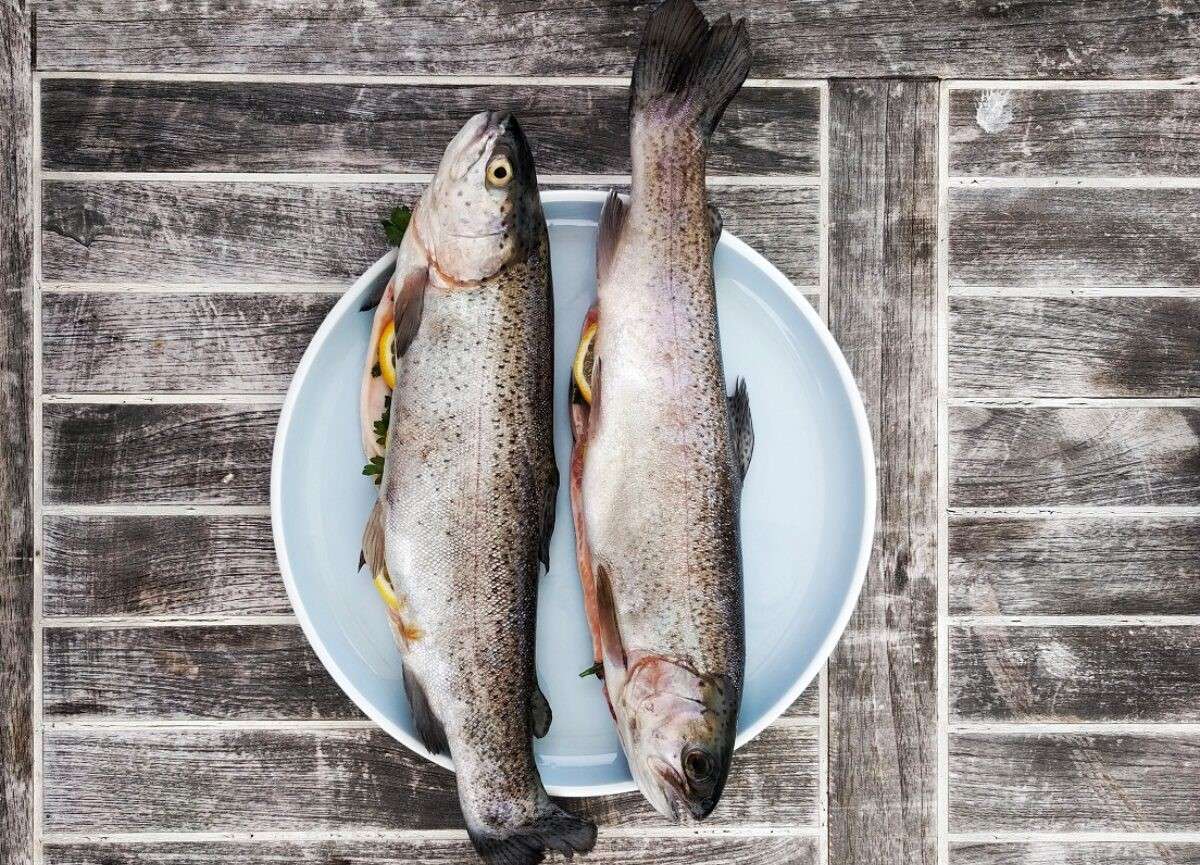 impedimente la importul de pește - AGROEXPERT.MD