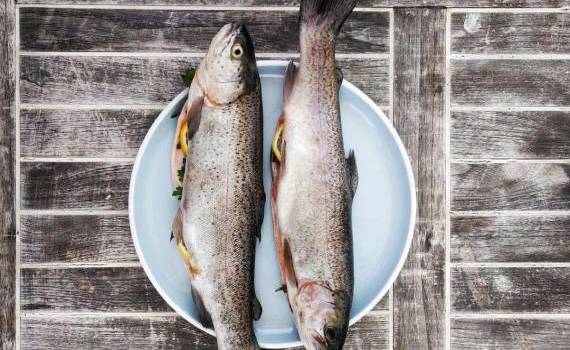 impedimente la importul de pește - AGROEXPERT.MD