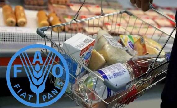 Мировые продовольственные цены третий месяц подряд снижаются - agroexpert.md