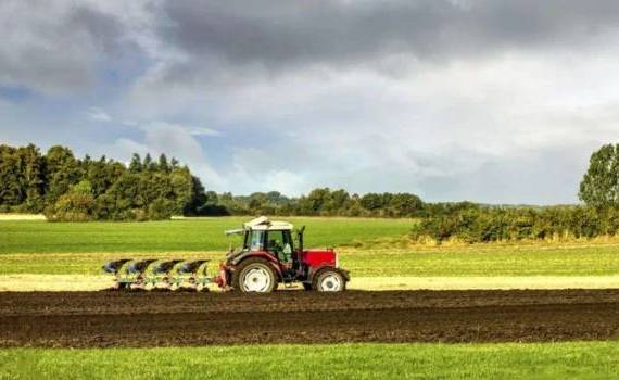 Молдова вошла в пятёрку стран с наибольшей долей пахотных земель - agroexpert.md