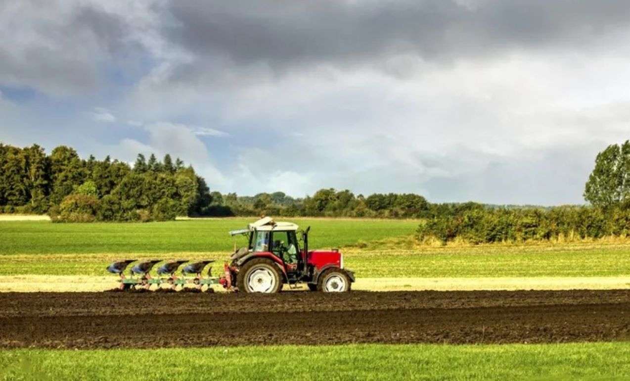 Молдова вошла в пятёрку стран с наибольшей долей пахотных земель - agroexpert.md