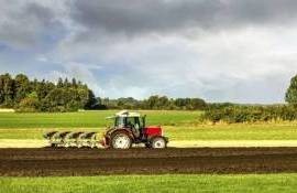 Молдова вошла в пятёрку стран с наибольшей долей пахотных земель - agroexpert.md