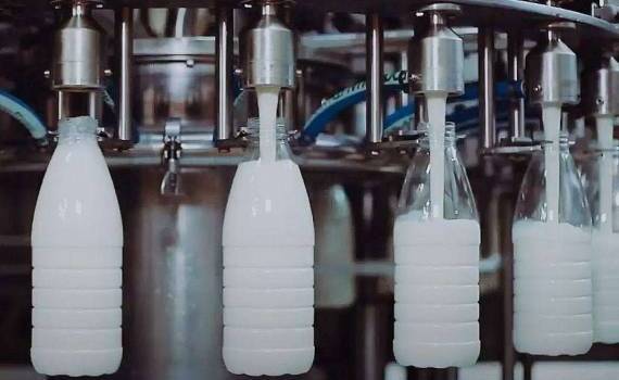 В израильские супермаркеты начнёт поступать альтернативное молоко - agroexpert.md
