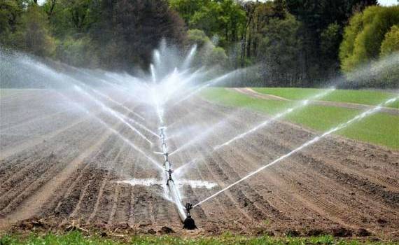 Irigarea: necesitate vitală - agroexpert.md