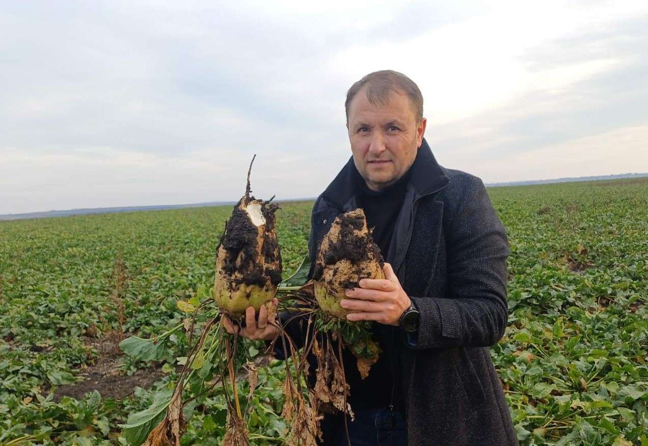 Recoltă de sfeclă - Agroexpert.md