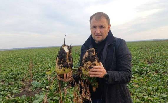 Recoltă de sfeclă - Agroexpert.md