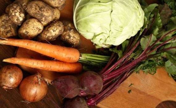 Оптовые продажи овощей в Молдове упали на треть - agroexpert.md