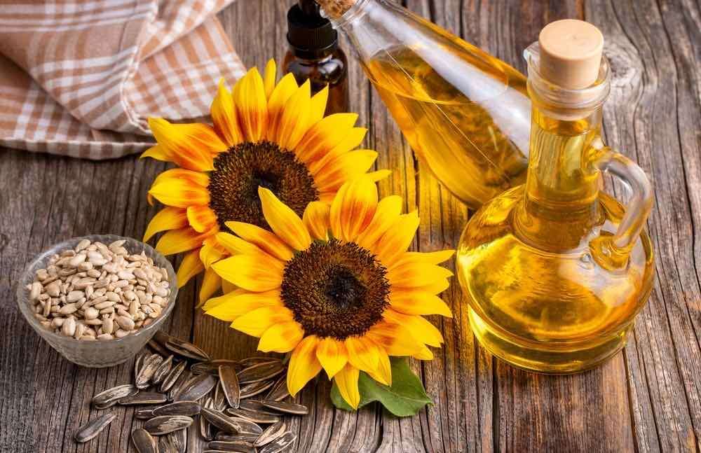 Export vs. import la ulei: decalaj încă departe de anii de vârf - agroexpert.md