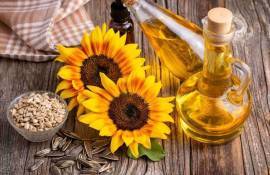 Export vs. import la ulei: decalaj încă departe de anii de vârf - agroexpert.md