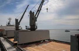 Al Dahra закрывает зерновой трейдинг в Румынии после трех лет убытков - agroexpert.md