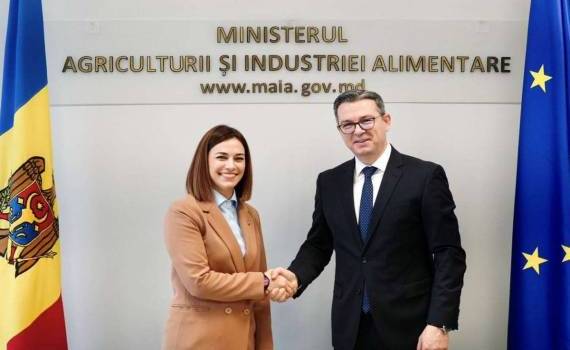 Молдова и Северная Македония усилят сотрудничество в виноделии - agroexpert.md