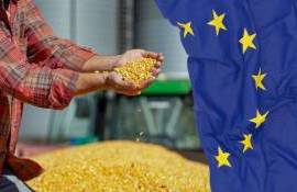 ЕС усиливает контроль за импортом продуктов питания и сельхозпродукции - agroexpert.md
