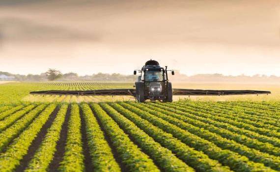 Asociația Agrocereale susține reforma Camerelor Agricole - agroexpert.md