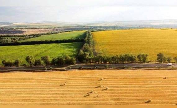 Новый закон об инвестициях: сельхозземли не будут продаваться иностранцам - agroexpert.md