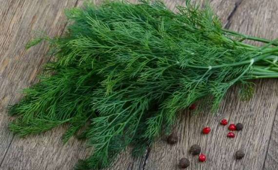 В Молдове уничтожили 7,5 тонн импортного укропа с превышением пестицидов - agroexpert.md