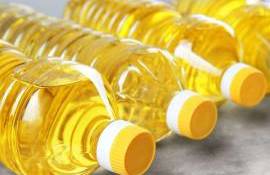 Оборот молдавского подсолнечного масла: основные экспортеры, импортеры и рынки сбыта