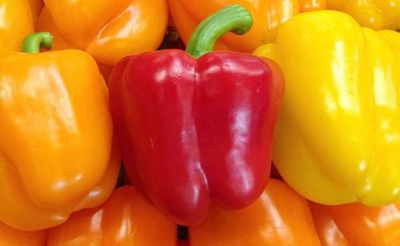 В Молдове уничтожена партия импортного перца с превышением пестицидов - agroexpert.md