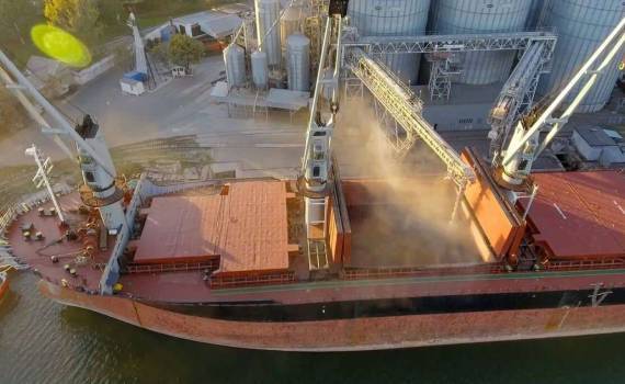 Аргентина возобновила экспорт пшеницы в Китай после длительного перерыва - agroexpert.md