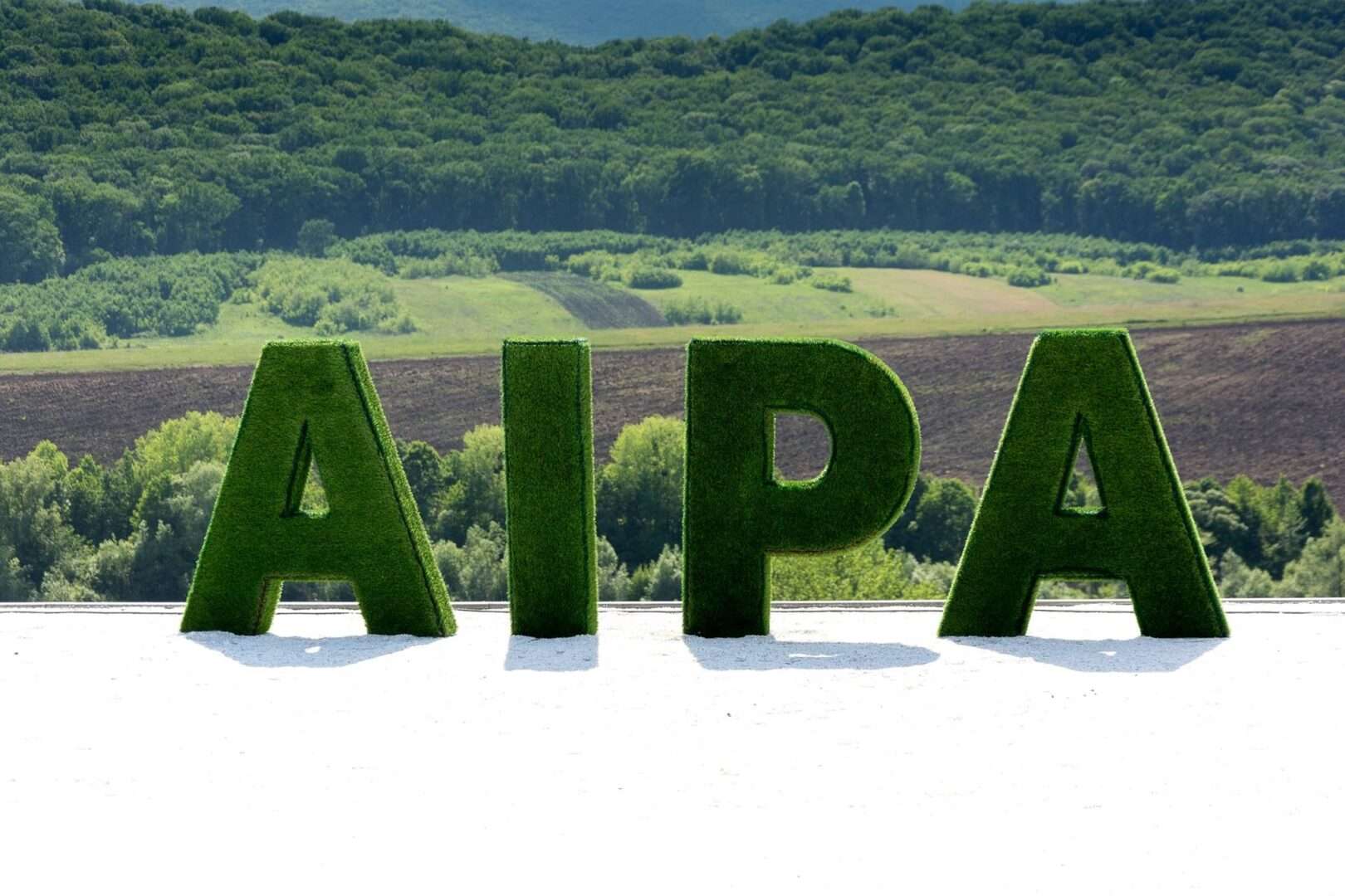 Subventii AIPA 2025 - AgroExpert