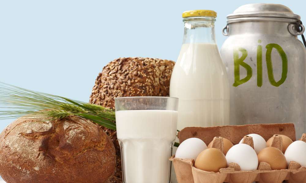 Produsele alimentare ecologice - agroexpert.md