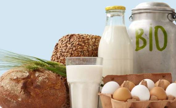 Produsele alimentare ecologice - agroexpert.md