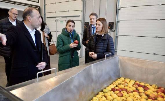 instruiri practice moderne - agroexpert.md