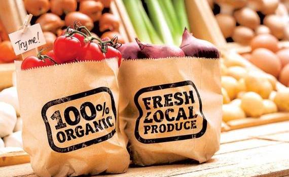 Controale privind utilizarea termenilor „eco” și „bio” - agroexpert.md