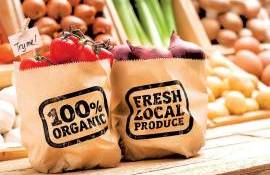 Controale privind utilizarea termenilor „eco” și „bio” - agroexpert.md