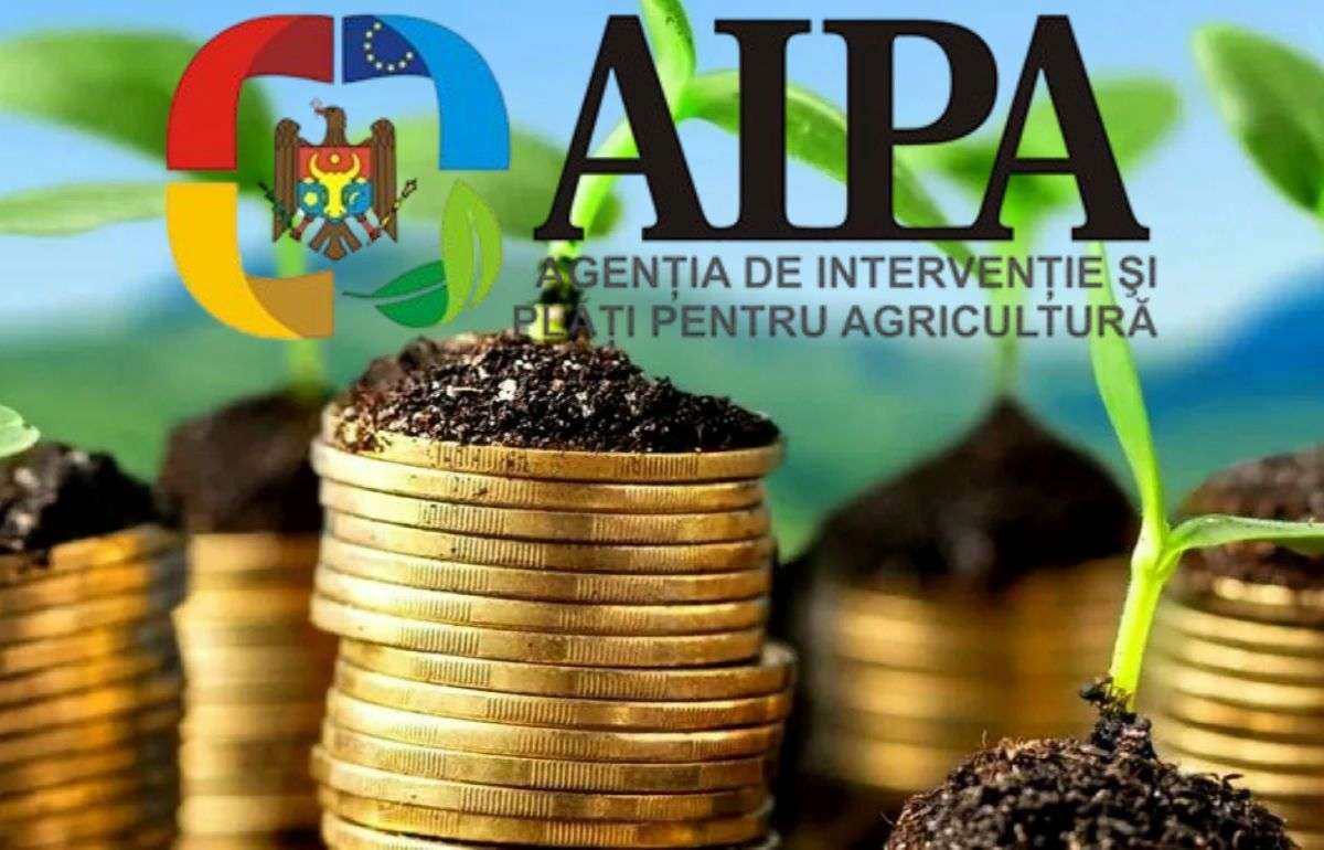 Аграрии получат более 47 млн леев субсидий от государства - agroexpert.md
