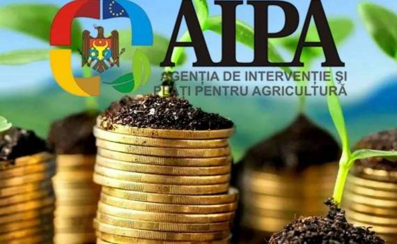 Аграрии получат более 47 млн леев субсидий от государства - agroexpert.md
