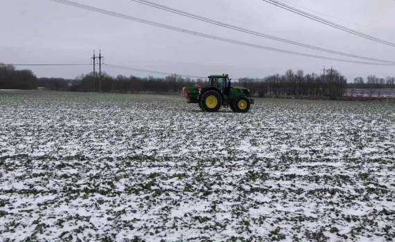 Питание рапса в зимний период. Стоит ли вносить калий в декабре? - agroexpert.md