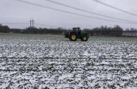 Питание рапса в зимний период. Стоит ли вносить калий в декабре? - agroexpert.md