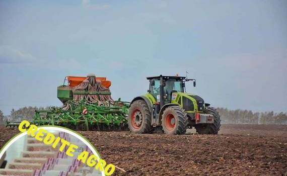 Власти Молдовы рассматривают конвертацию долгов фермеров в гособлигации - agroexpert.md