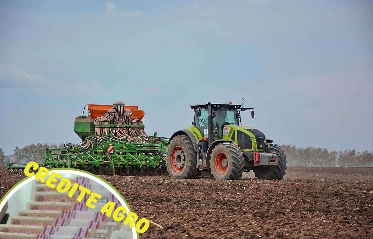 Власти Молдовы рассматривают конвертацию долгов фермеров в гособлигации - agroexpert.md