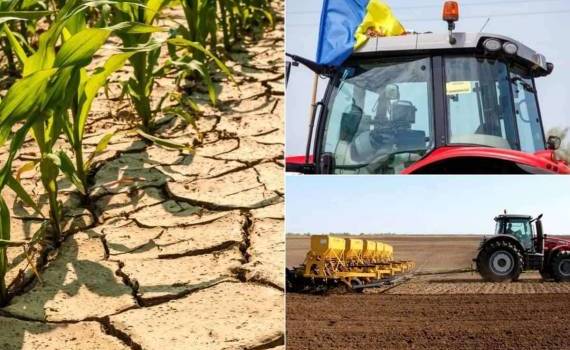 В Молдове хотят ввести годовой мораторий на взыскание долгов c фермеров - agroexpert.md