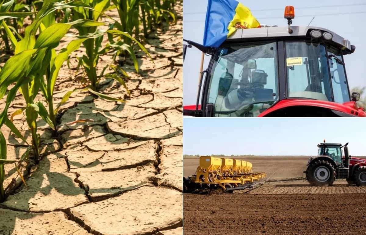 В Молдове хотят ввести годовой мораторий на взыскание долгов c фермеров - agroexpert.md